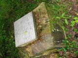 image of grave number 56778
